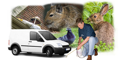 Culcheth local van